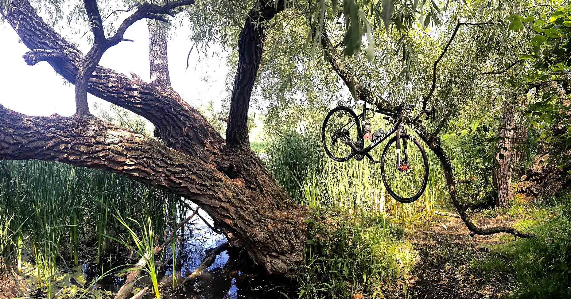 bike_006